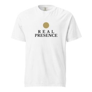 unisex garment dyed heavyweight t shirt